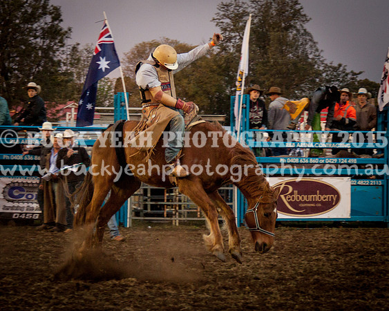 Singleton Show 15 -307
