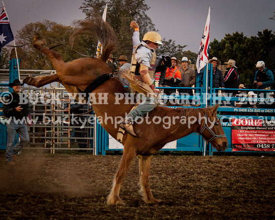 Singleton Show 15 -308