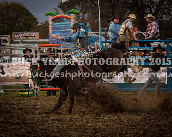 Singleton Show 15 -309