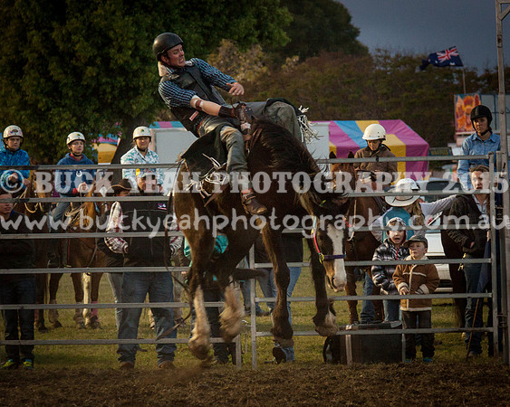 Singleton Show 15 -311