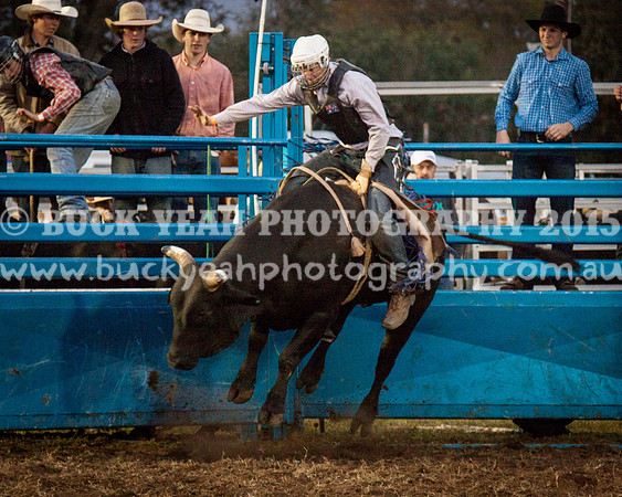 Singleton Show 15 -314