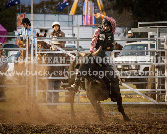 Singleton Show 15 -316