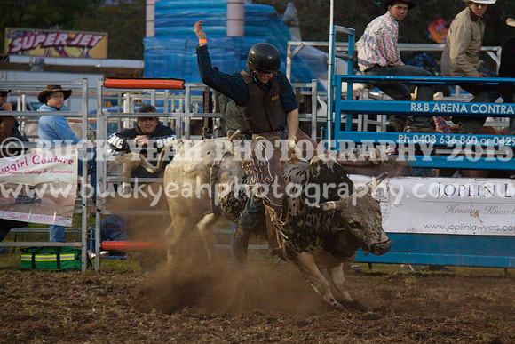 Singleton Show 15 -321