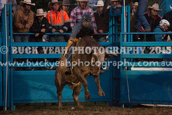 Singleton Show 15 -322