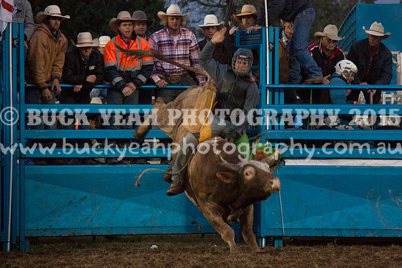 Singleton Show 15 -323