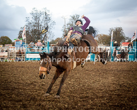 Singleton Show 15 -300