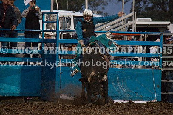 Singleton Show 15 -324