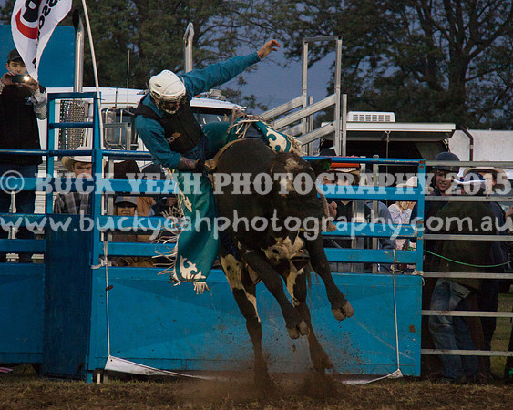 Singleton Show 15 -325
