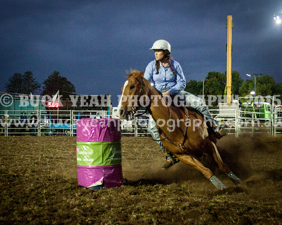 Singleton Show 15 -327
