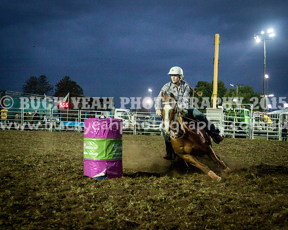 Singleton Show 15 -329