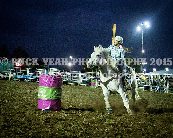 Singleton Show 15 -339