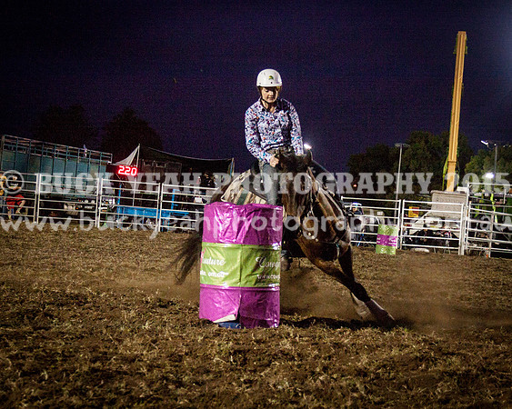 Singleton Show 15 -341