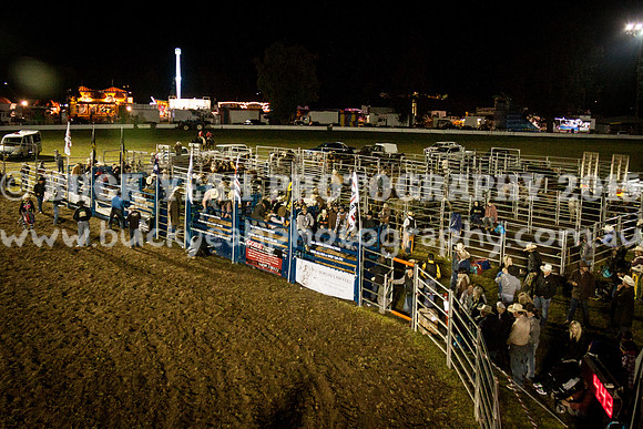 Singleton Show 15 -351