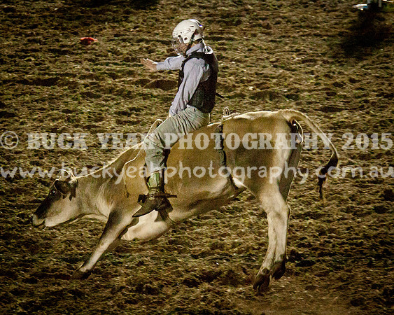 Singleton Show 15 -365