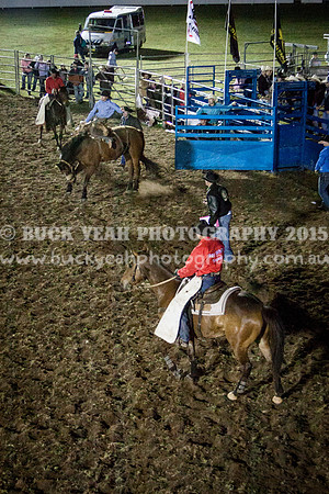Singleton Show 15 -366