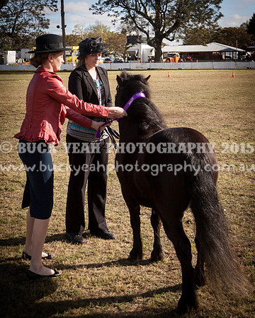 Singleton Show 15 -389