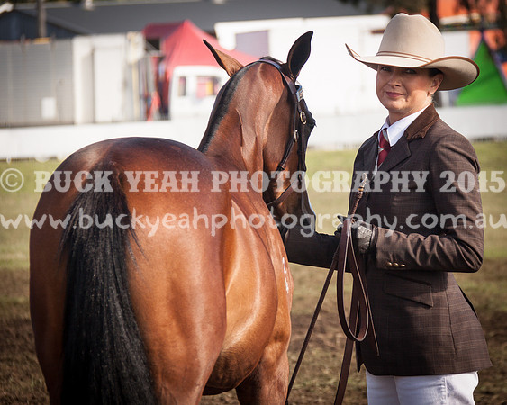 Singleton Show 15 -387