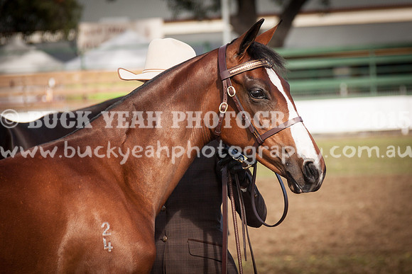Singleton Show 15 -385