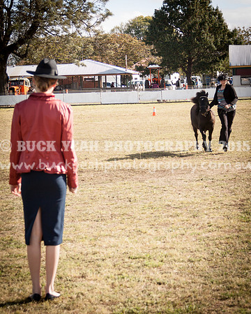 Singleton Show 15 -388