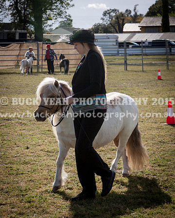 Singleton Show 15 -390
