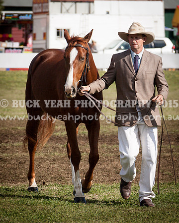 Singleton Show 15 -393