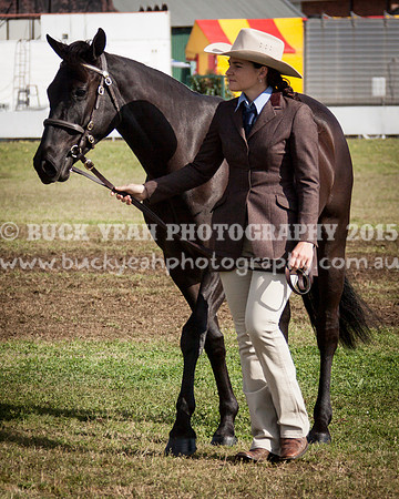 Singleton Show 15 -395