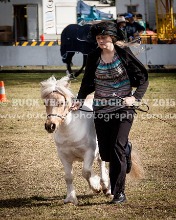Singleton Show 15 -400