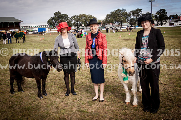 Singleton Show 15 -401