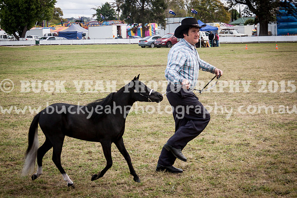Singleton Show 15 -402