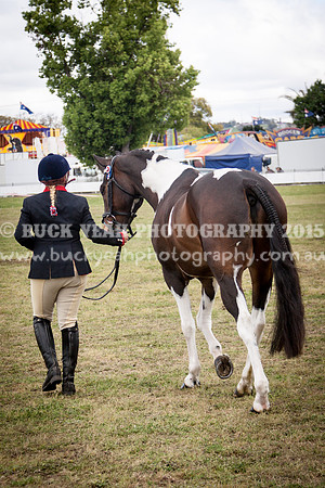 Singleton Show 15 -404