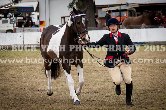Singleton Show 15 -405