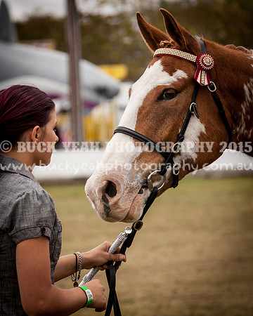 Singleton Show 15 -407