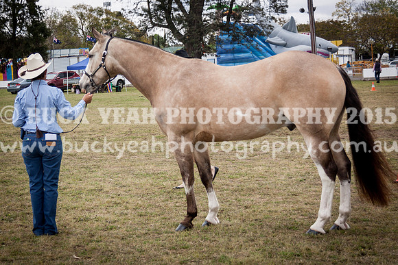 Singleton Show 15 -408