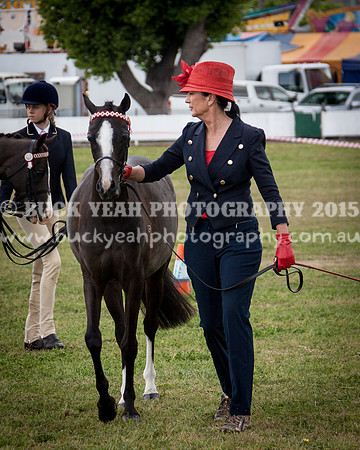 Singleton Show 15 -410