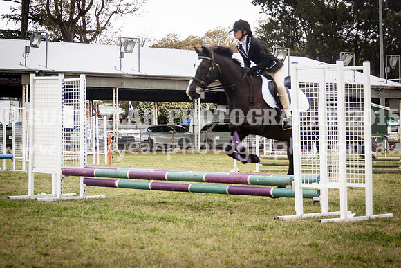 Singleton Show 15 -412