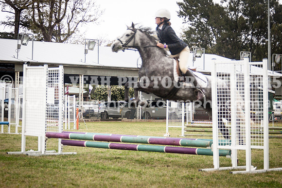 Singleton Show 15 -415