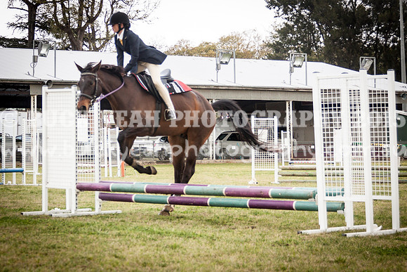 Singleton Show 15 -411