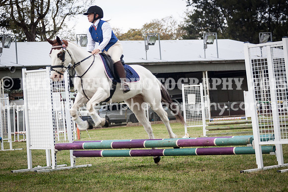 Singleton Show 15 -417