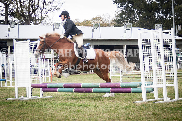 Singleton Show 15 -418