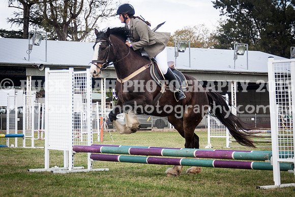 Singleton Show 15 -422