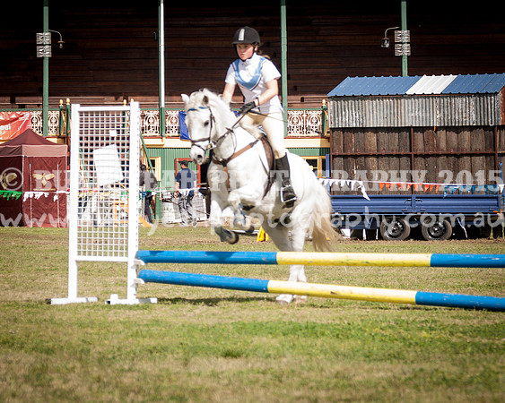 Singleton Show 15 -423