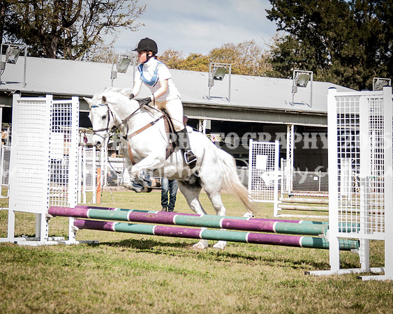 Singleton Show 15 -424
