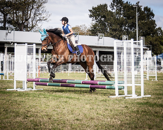 Singleton Show 15 -427