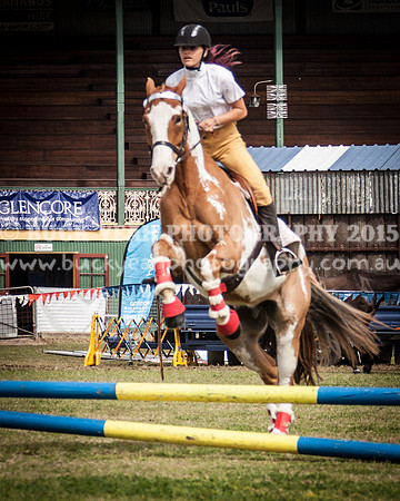 Singleton Show 15 -430