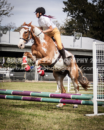 Singleton Show 15 -431