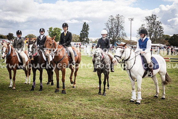 Singleton Show 15 -432