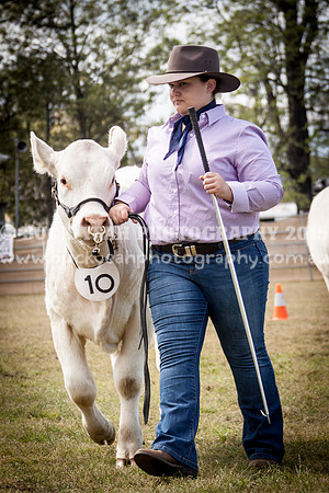 Singleton Show 15 -434