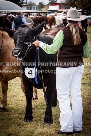 Singleton Show 15 -433