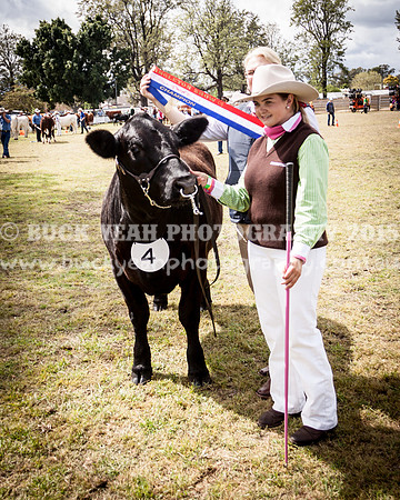 Singleton Show 15 -440