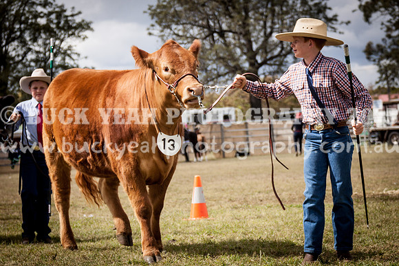 Singleton Show 15 -442